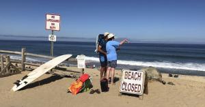 Cape Cod Looks for Ways to Keep Sharks Away